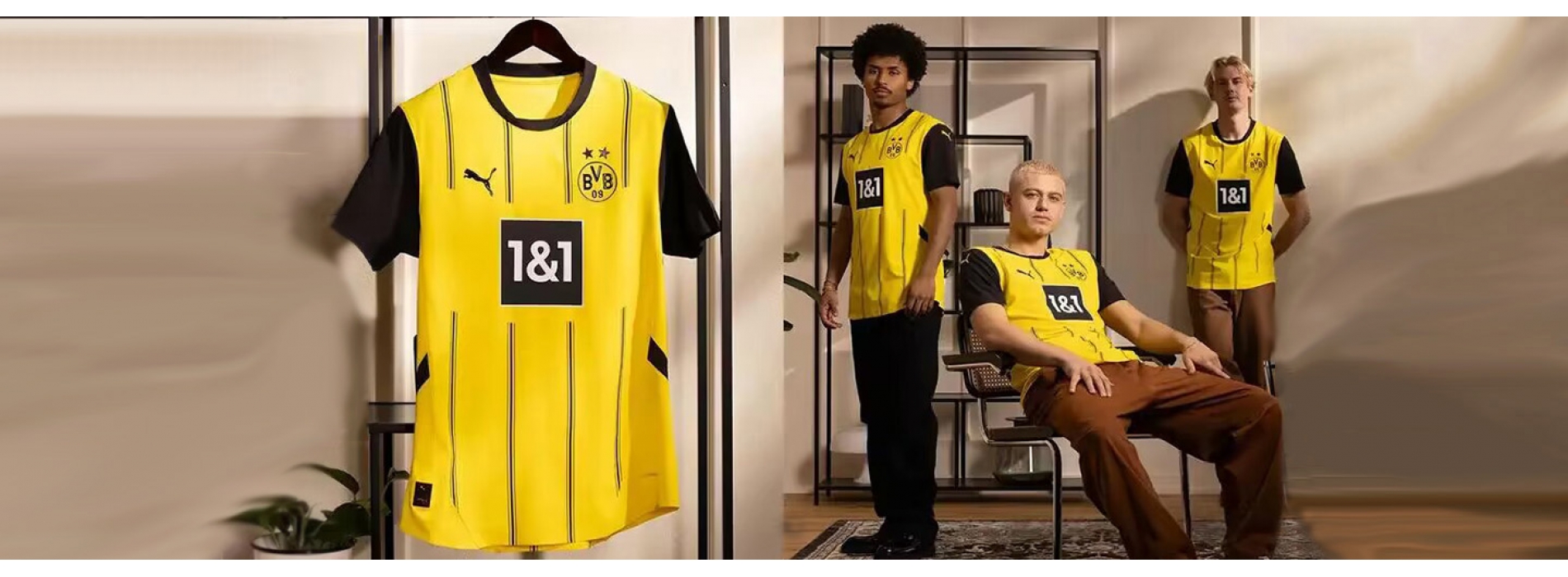 BVB Borussia Dortmund